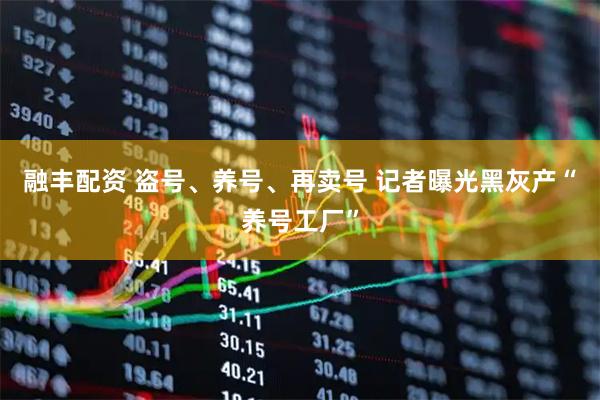 融丰配资 盗号、养号、再卖号 记者曝光黑灰产“养号工厂”