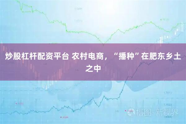 炒股杠杆配资平台 农村电商，“播种”在肥东乡土之中