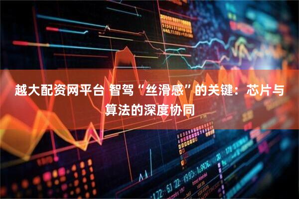 越大配资网平台 智驾“丝滑感”的关键：芯片与算法的深度协同