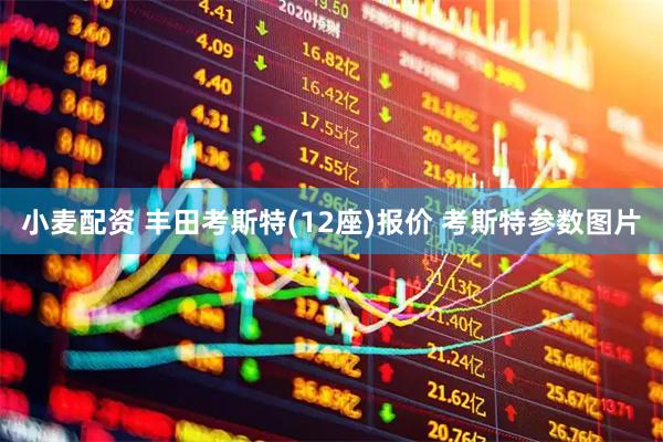 小麦配资 丰田考斯特(12座)报价 考斯特参数图片