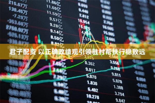 君子配资 以正确政绩观引领驻村帮扶行稳致远