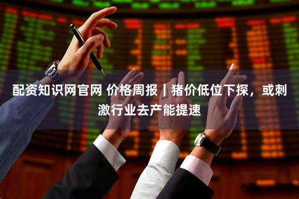 配资知识网官网 价格周报｜猪价低位下探，或刺激行业去产能提速
